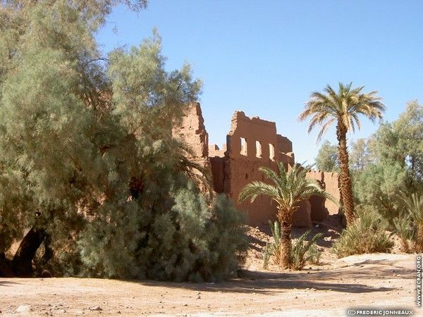 Fonds d'écran ETE