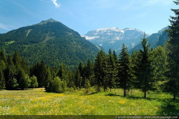 Fonds d'écran PRINTEMPS